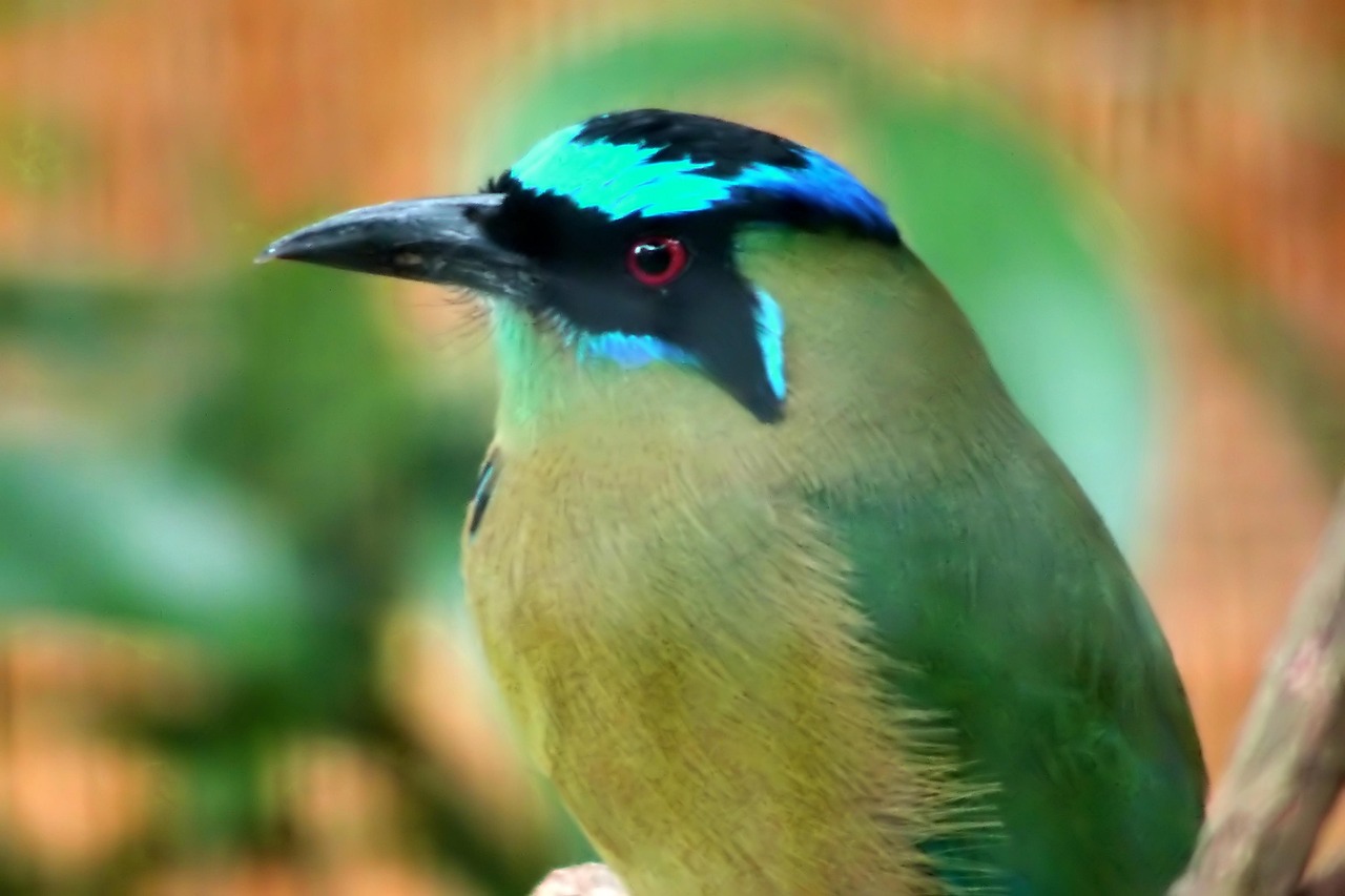 OpenAI Introduces EVMbench to Evaluate AI on Smart Contract Security